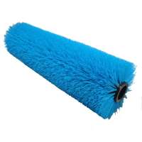 Cleaning Sweeping Nylon Brush Roller